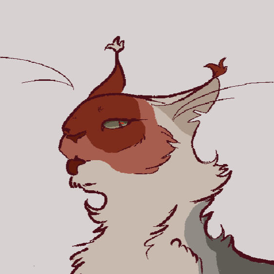 Headshot of a red-and-white cat with dirty green eyes